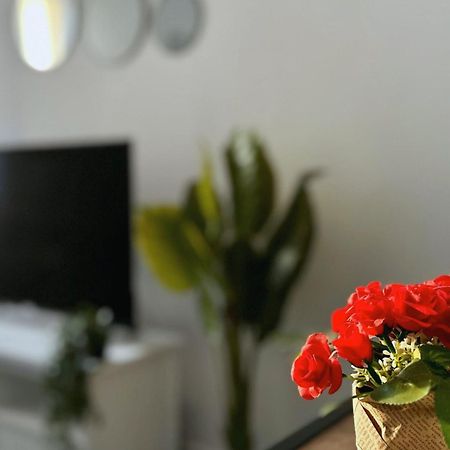 Cosy Palm Beach, Studio Pres De La Mer Et De La Croisette 칸느 외부 사진