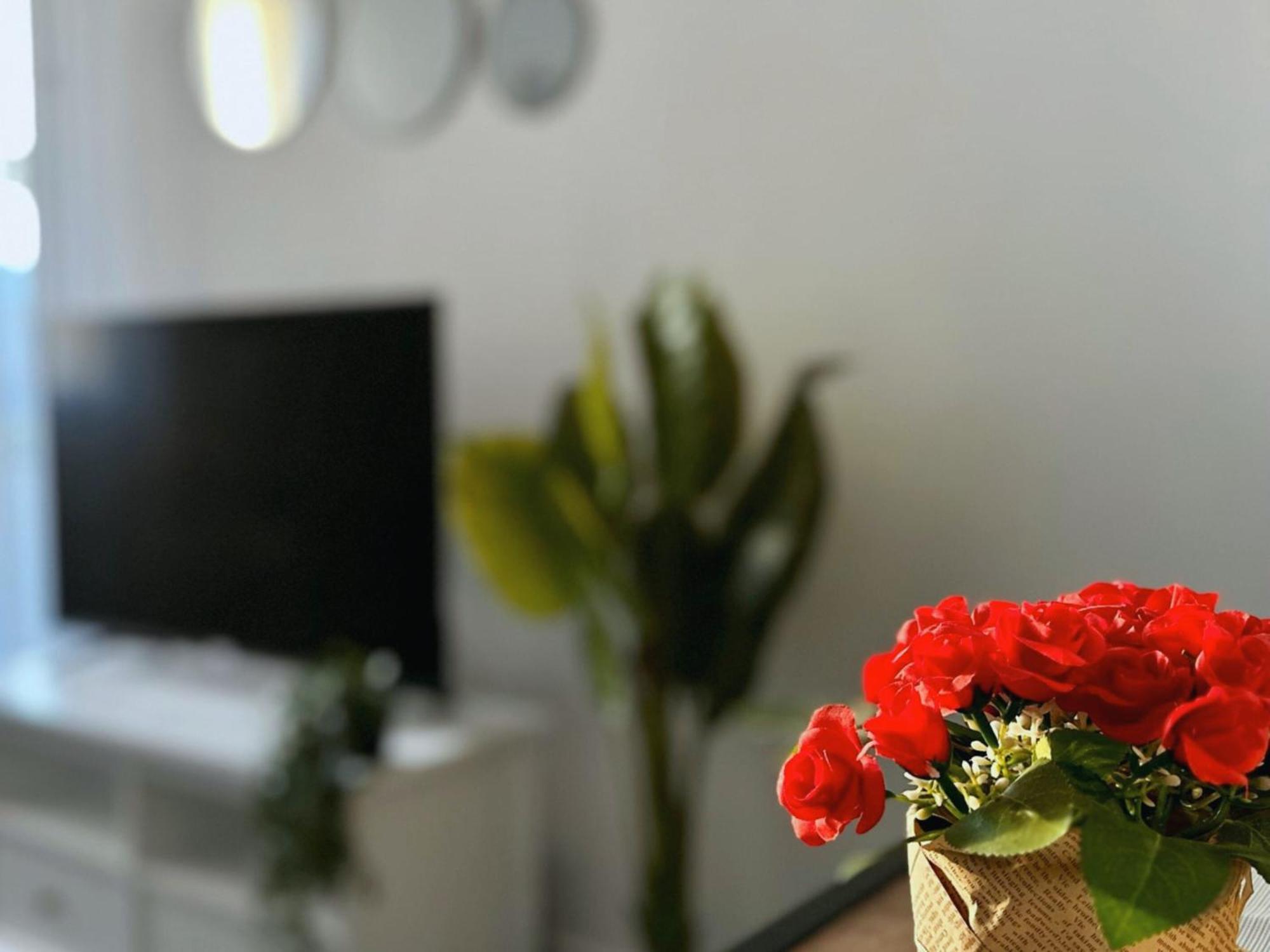Cosy Palm Beach, Studio Pres De La Mer Et De La Croisette 칸느 외부 사진